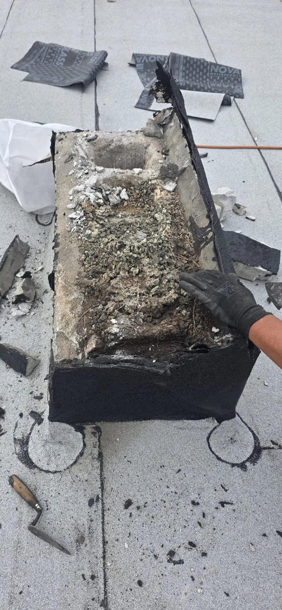 Coș de aerisire desfăcut, cu depuneri, resturi de cuiburi și fragmente de material acumulate în partea superioară.